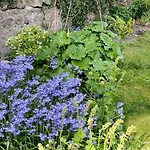 펜션 Givendale Cottages, Newby Hall, Ripon, North Yorkshire *