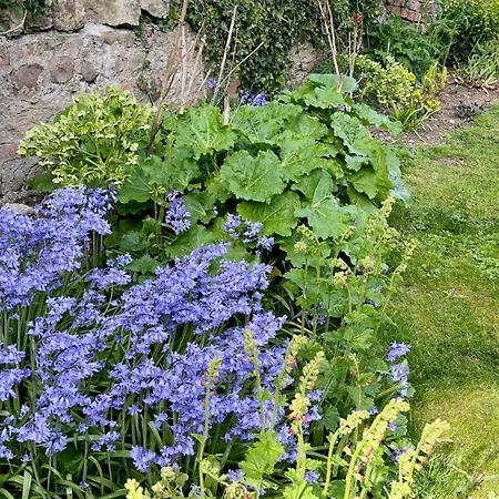 度假居 Givendale Cottages, Newby Hall, Ripon, North Yorkshire *